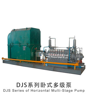  DJS 系列臥式多級(jí)泵