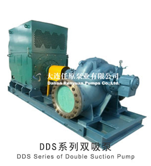  DDS 系列雙吸泵